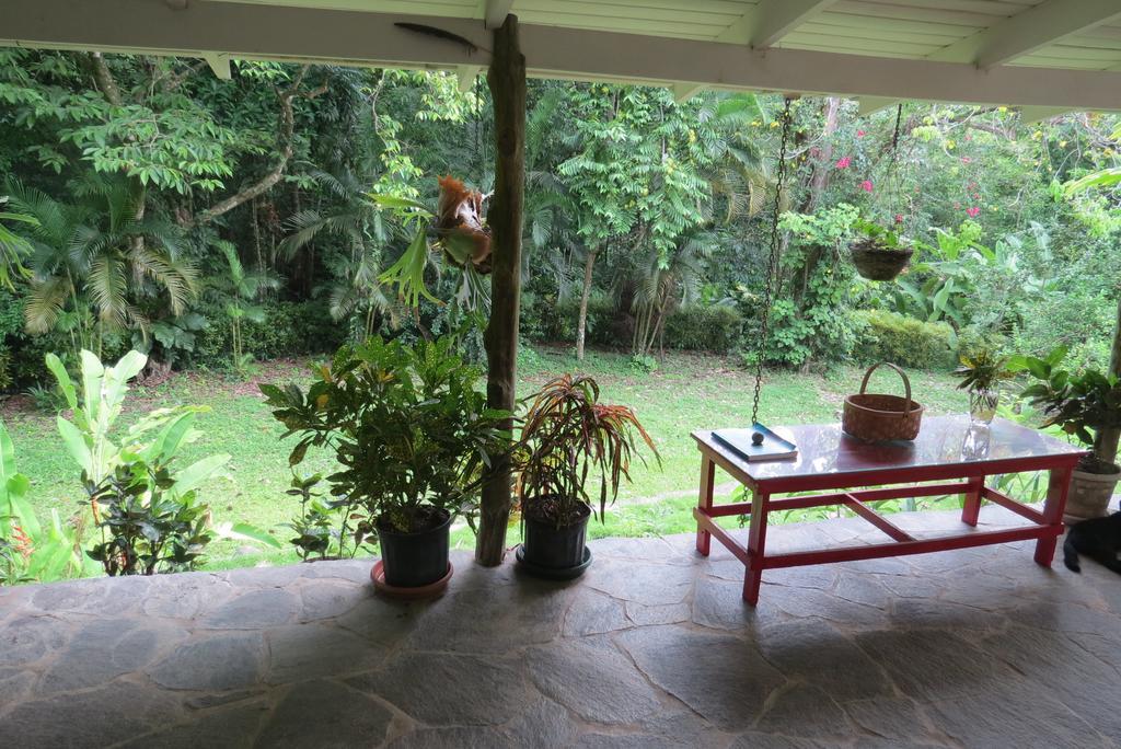 Apartamento Karibu Manuel Antonio Rom bilde