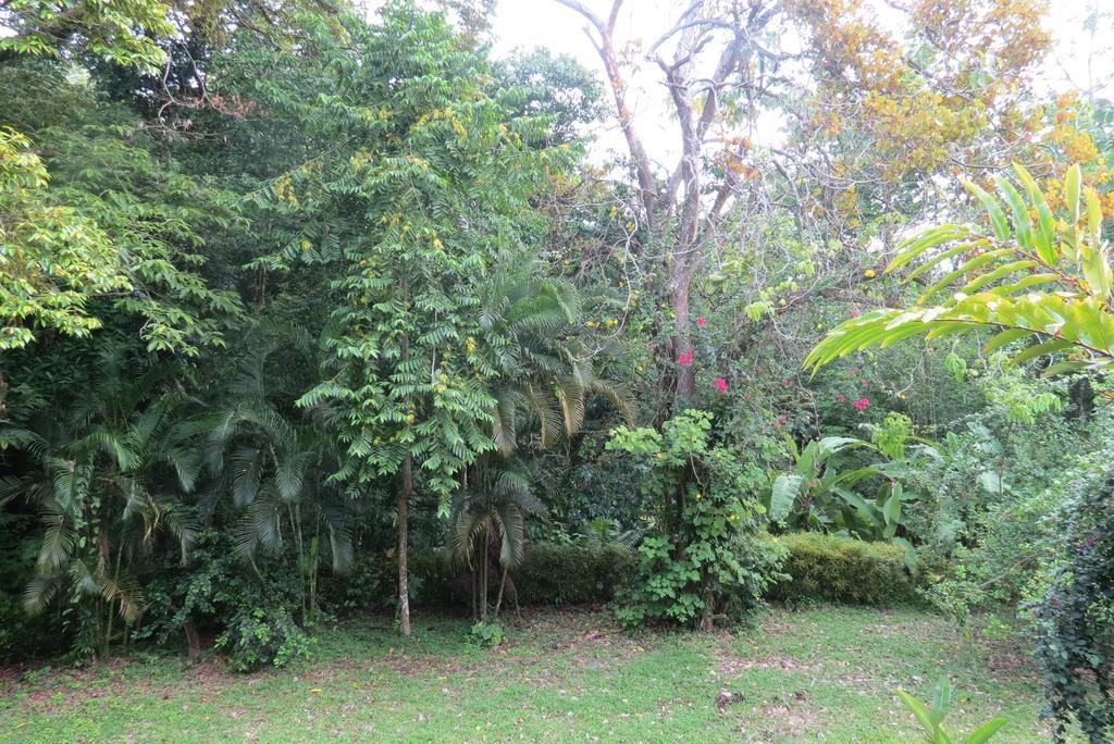 Apartamento Karibu Manuel Antonio Rom bilde